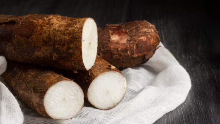 Cassava Product NYT