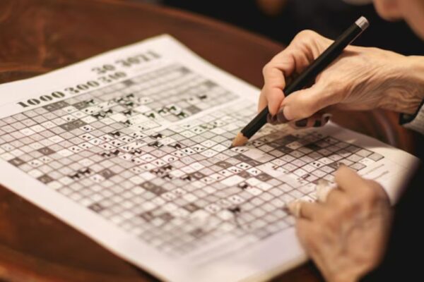 Make a Splashy Attempt Crossword Clue