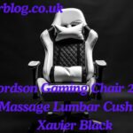 Alfordson Gaming Chair 2-Point Massage Lumbar Cushion Xavier Black